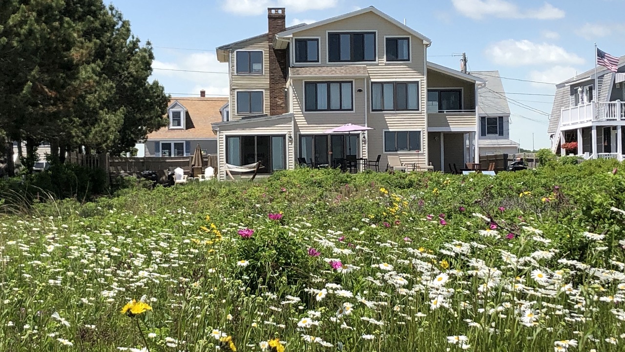 Photo of Others in Wells Beach