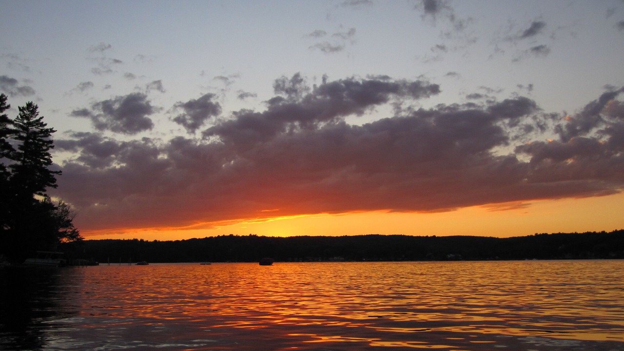 Photo of Others in Lochmere