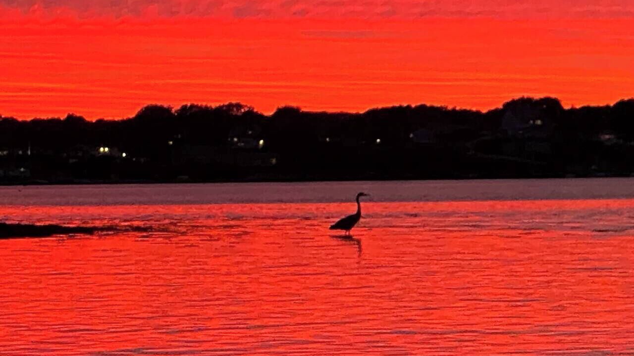 Photo of Others in Narragansett