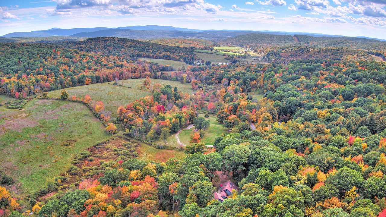 Photo of Outdoor in Hillsdale
