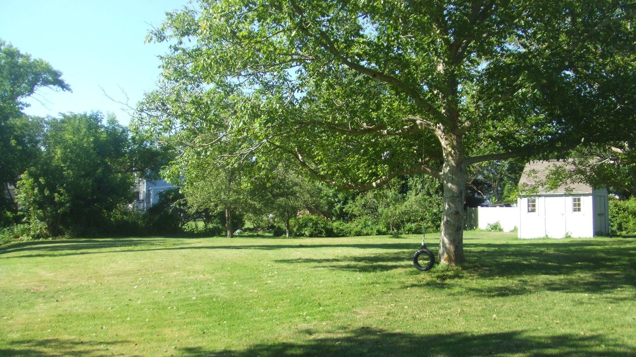 Photo of Outdoor in East Dennis