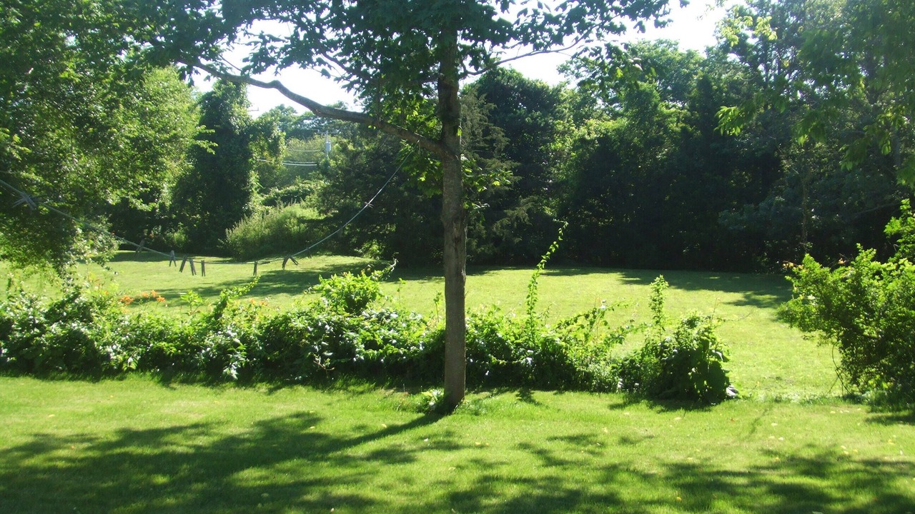 Photo of Others in East Dennis