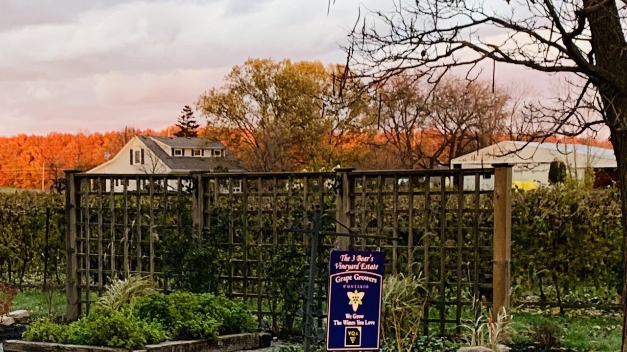 Photo of Outdoor in Virgil