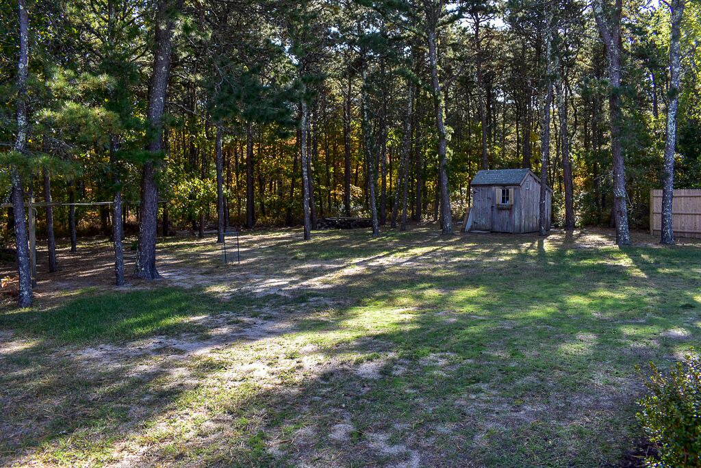 Photo of Outdoor in Dennis Port