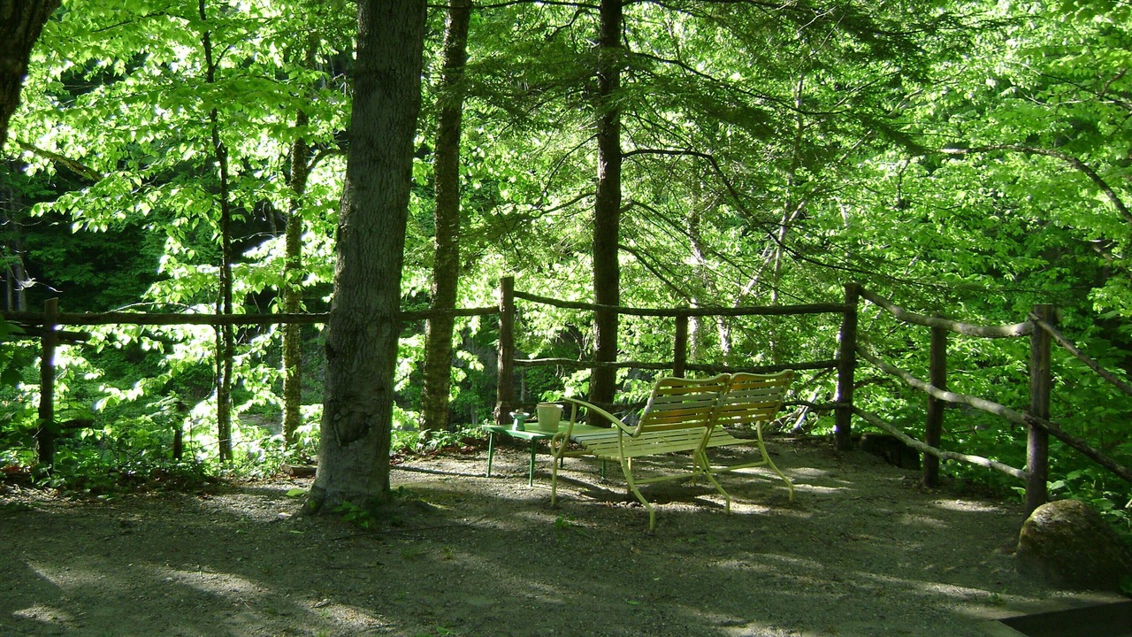 Photo of Outdoor in Williamsville