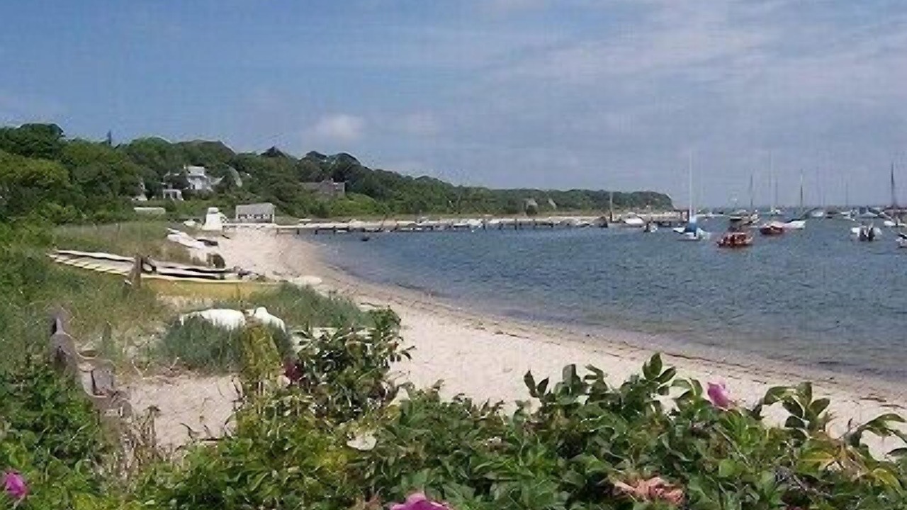 Photo of Others in Tisbury