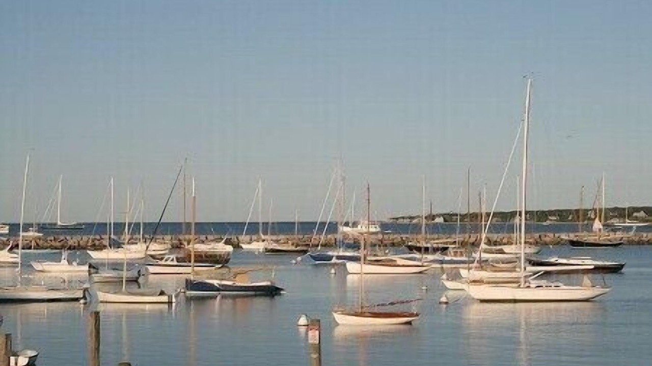 Photo of Others in Tisbury