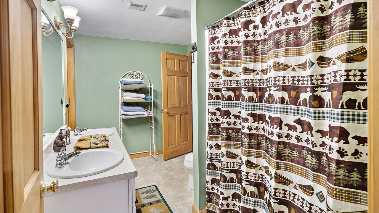 Photo of Bathroom in Bartlett