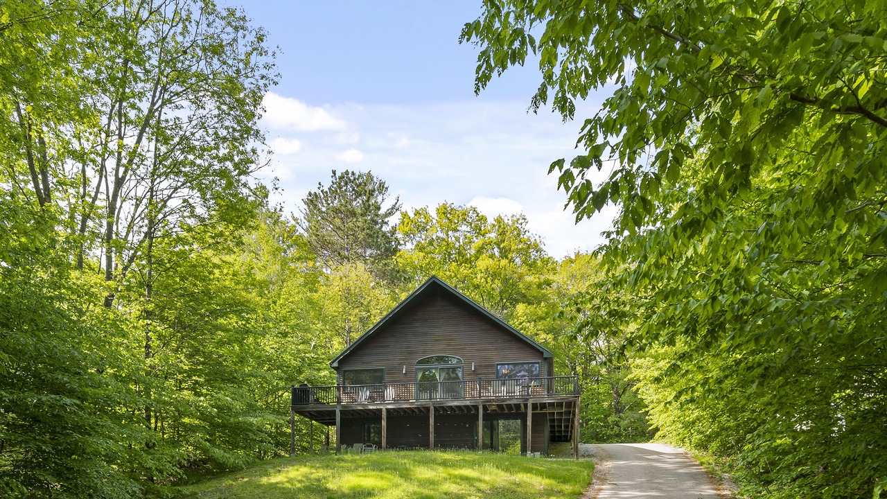 Photo of Outdoor in Bartlett