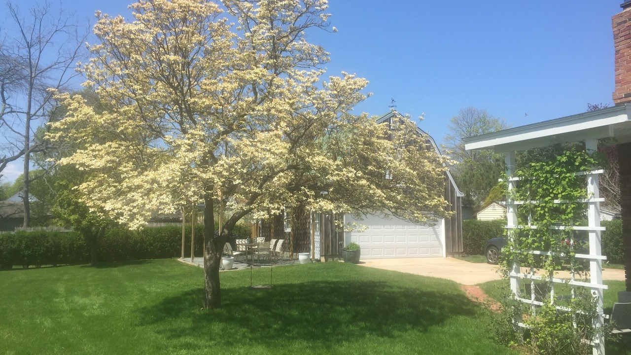 Photo of Outdoor in Greenport West