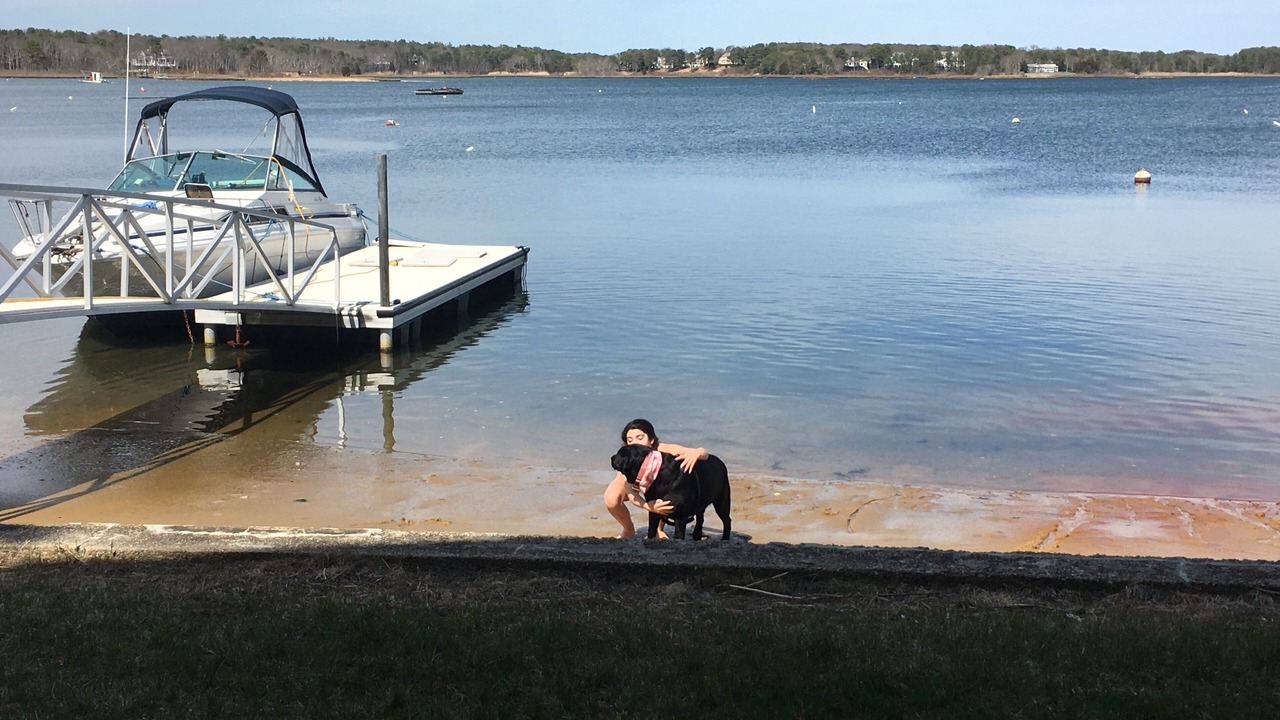 Photo of Others in Seconsett Island