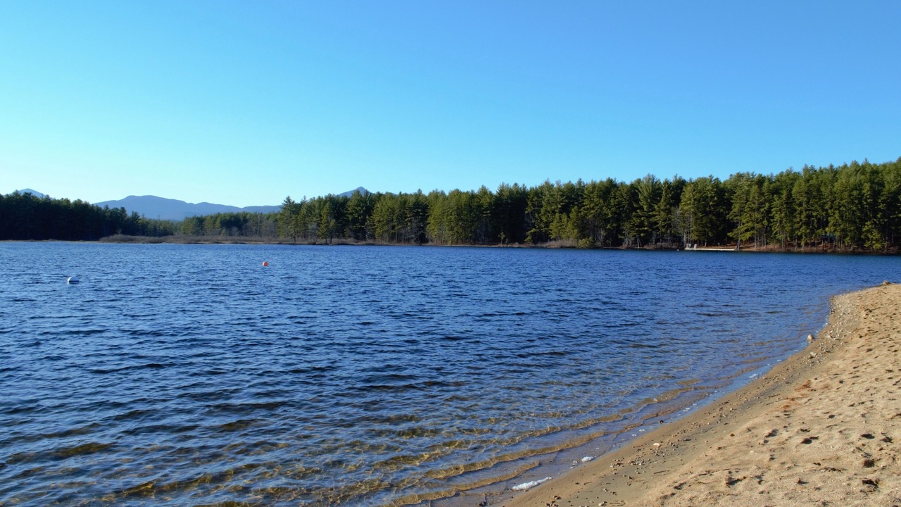 Photo of Others in Chocorua Ski and Beach