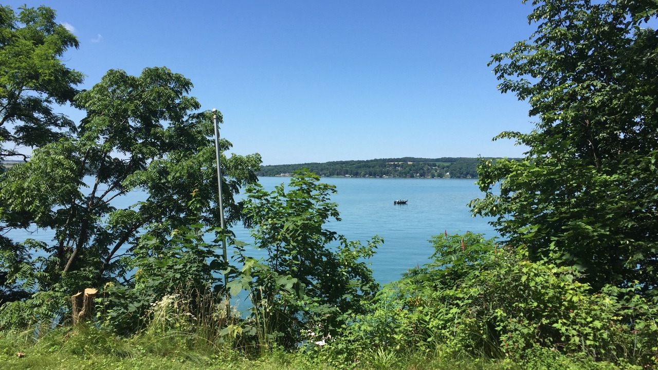 Photo of Others in Skaneateles