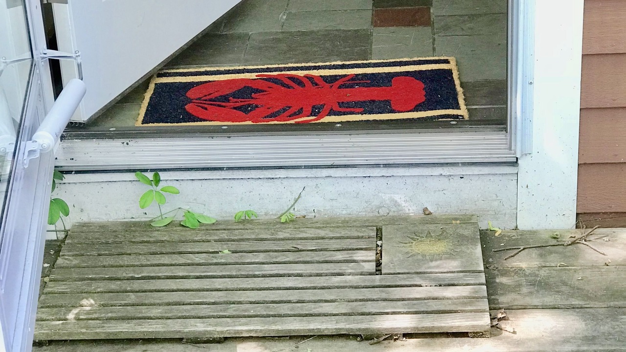 Photo of Outdoor in Hyannis