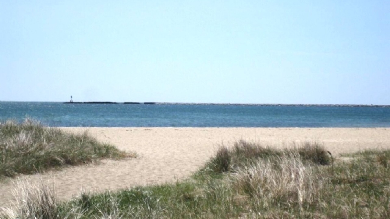 Photo of Others in Hyannis