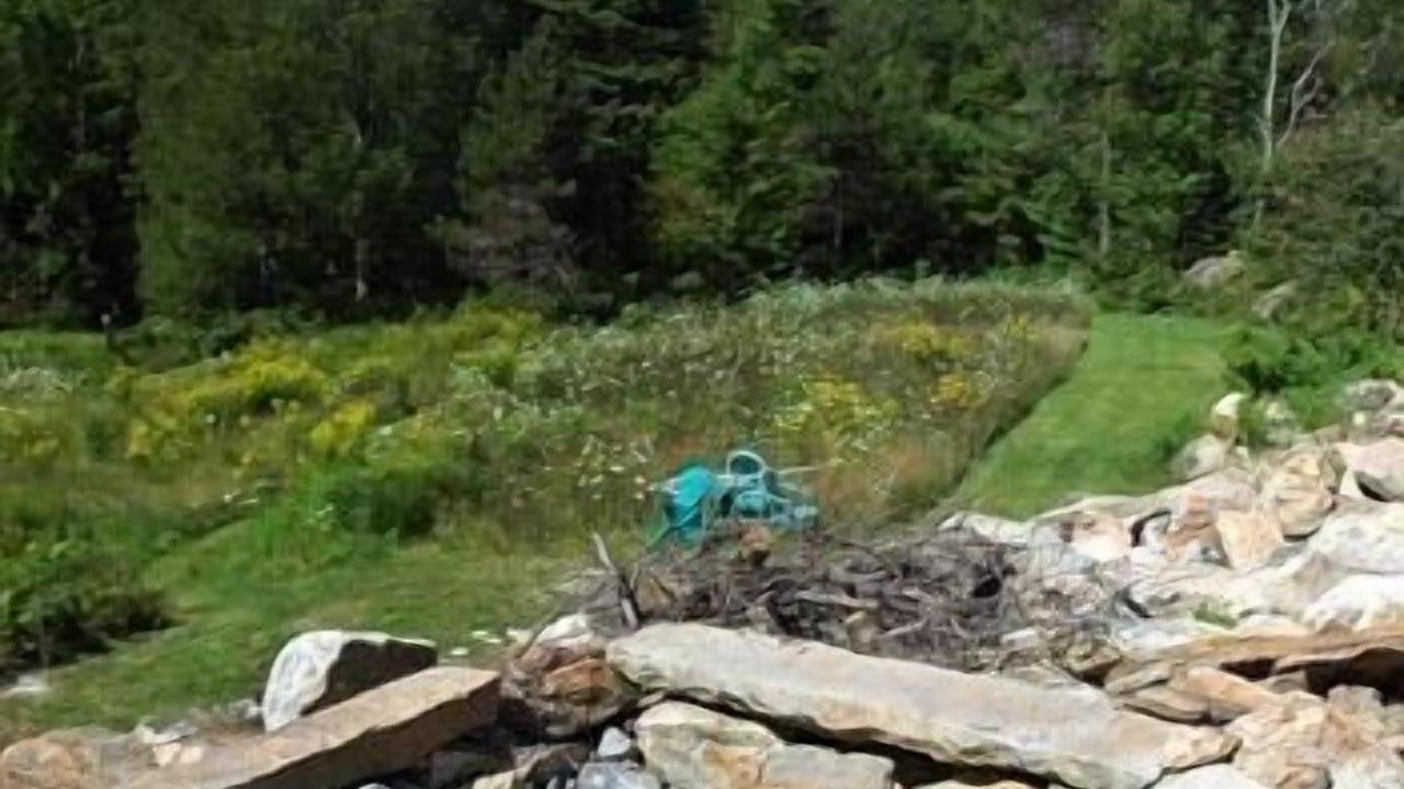 Photo of Others in Boothbay
