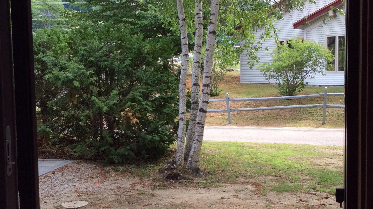 Photo of Others in Bartlett