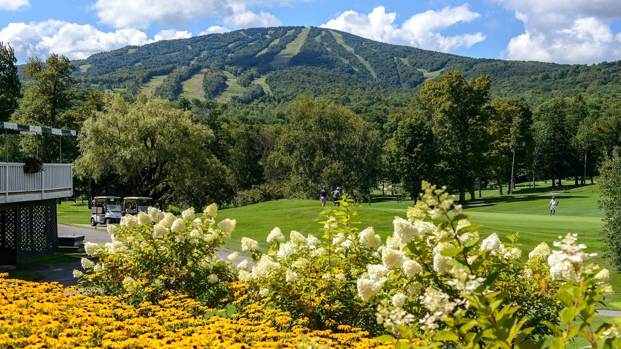 Photo of Others in Stratton Mountain