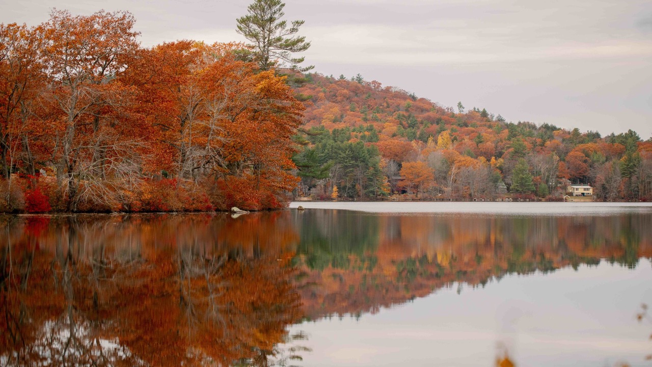 Photo of Others in Harrisville