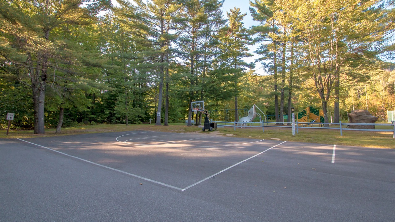 Photo of Others in Bartlett