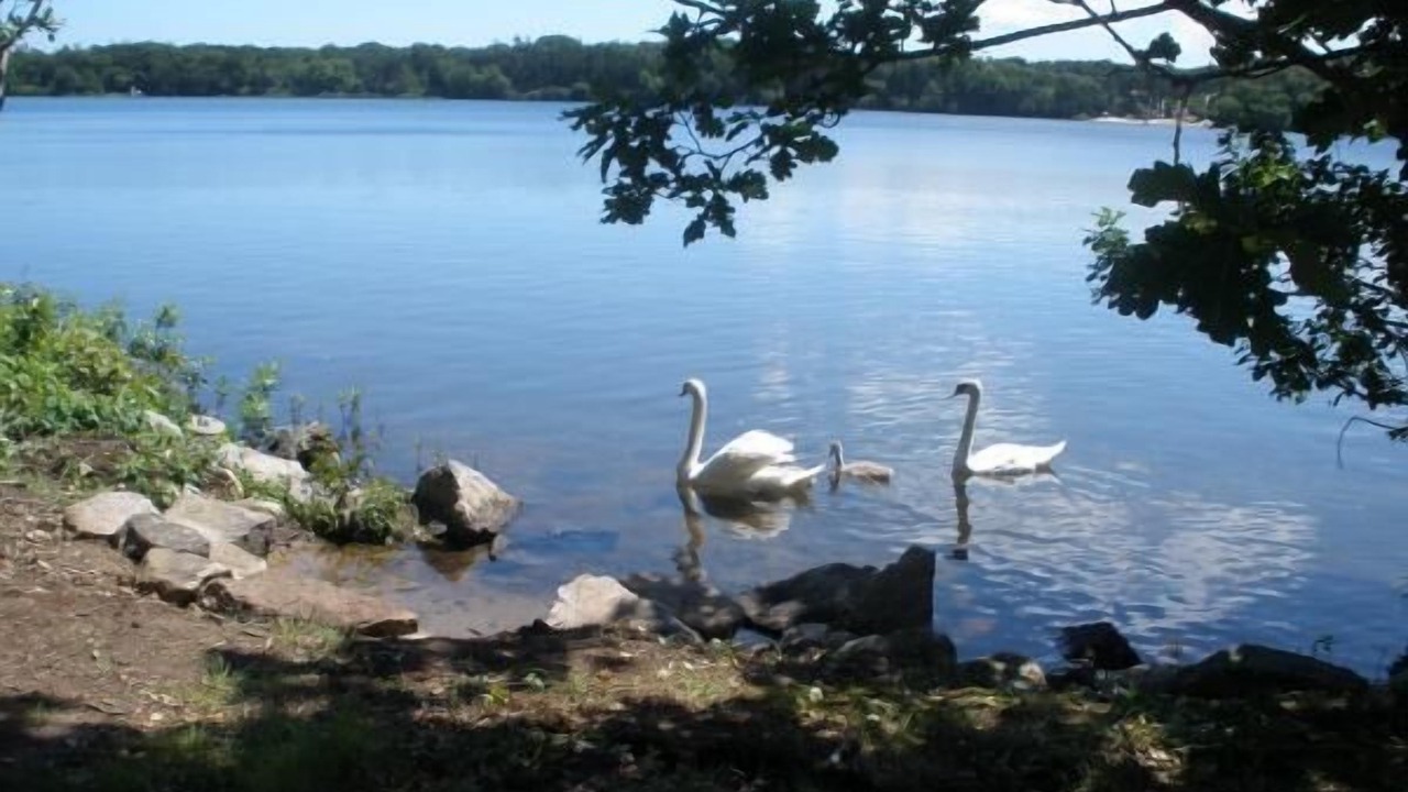 Photo of Outdoor in Dennis