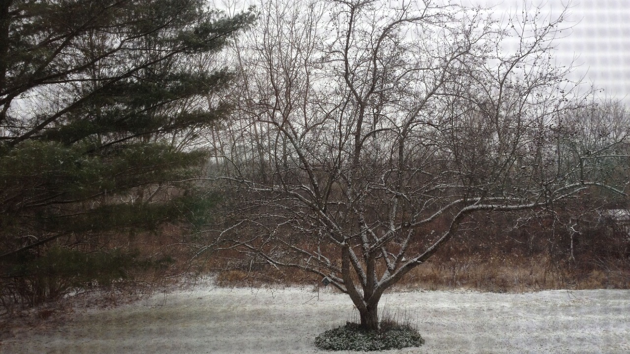 Photo of Others in Lee