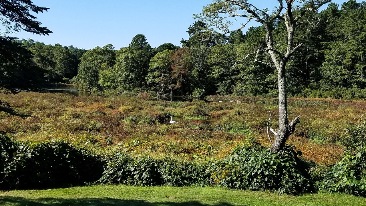 Photo of Outdoor in Marstons Mills