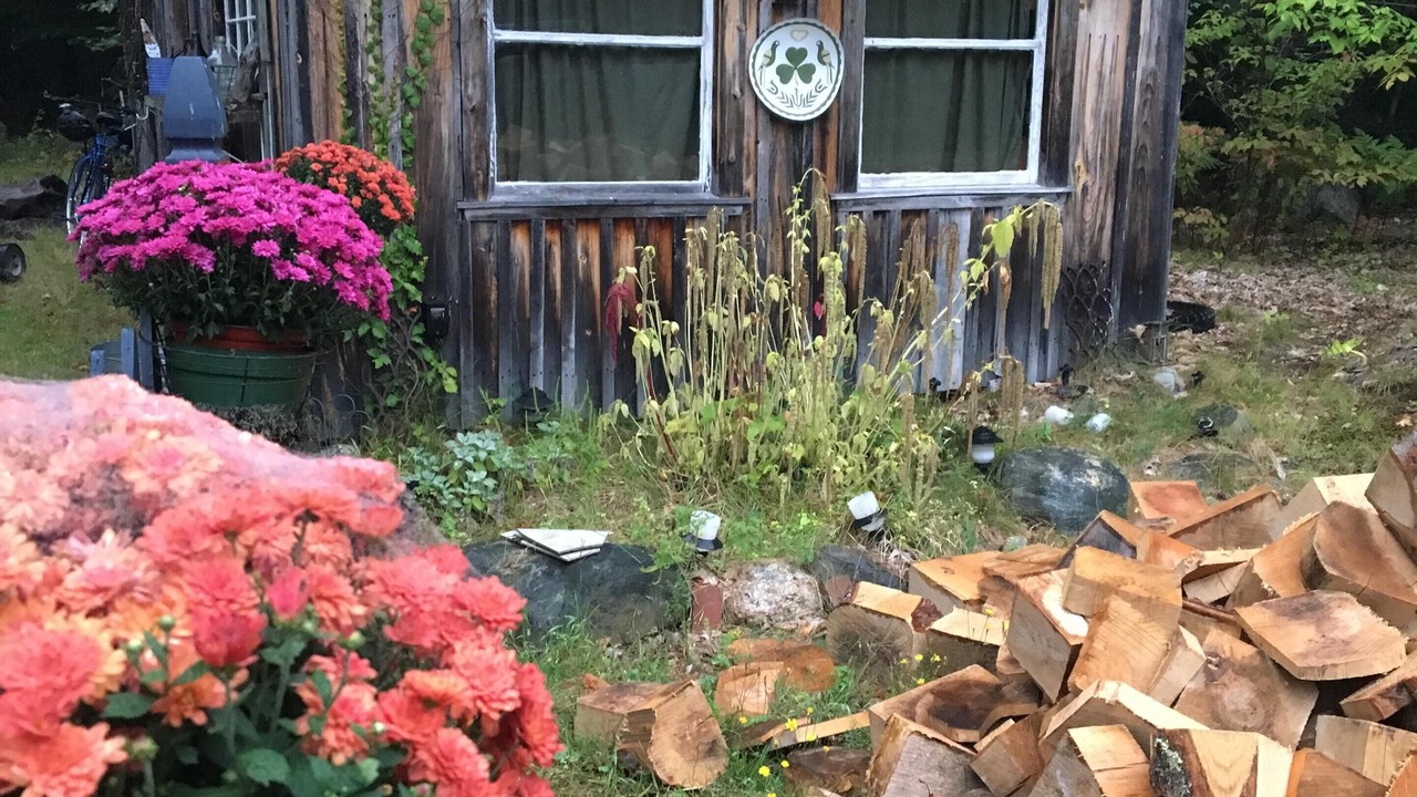 Photo of Outdoor in Cumberland Center
