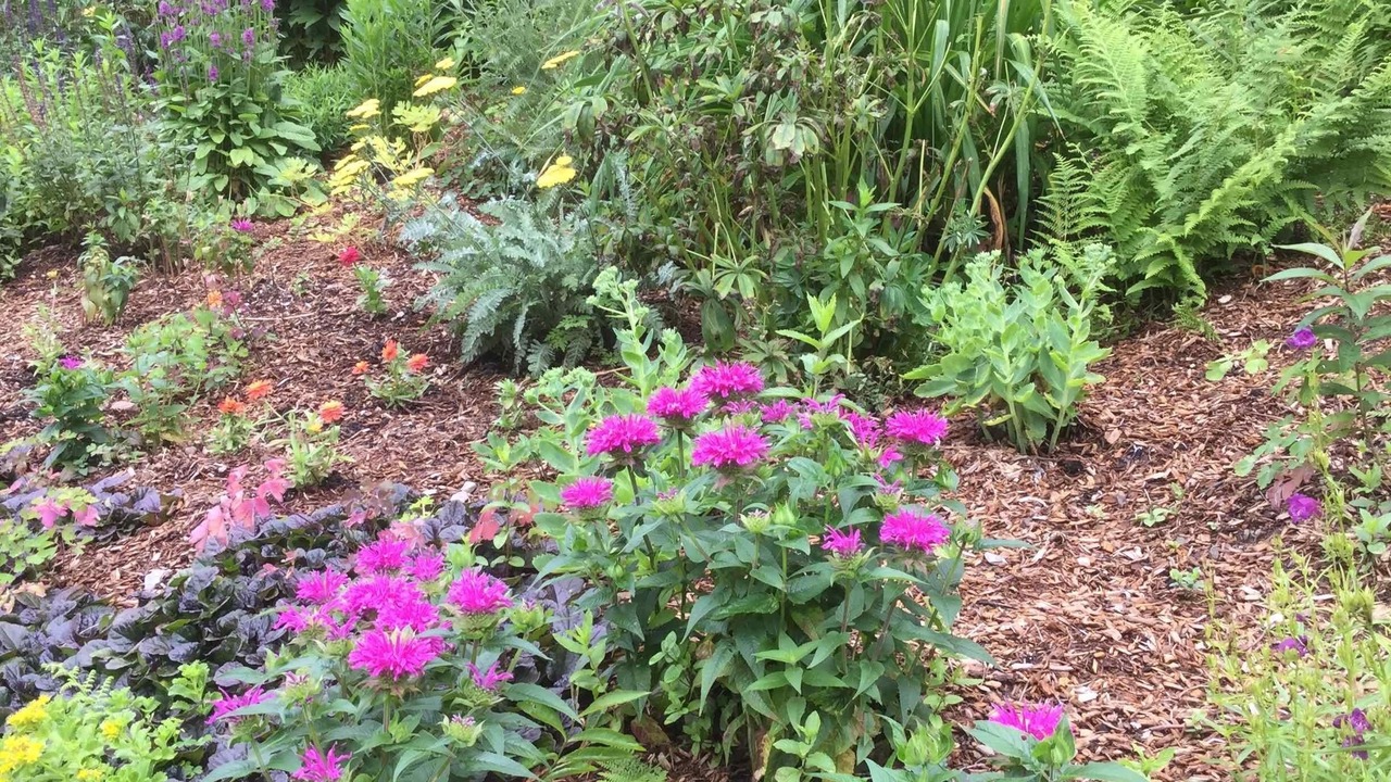 Photo of Outdoor in Margaretville