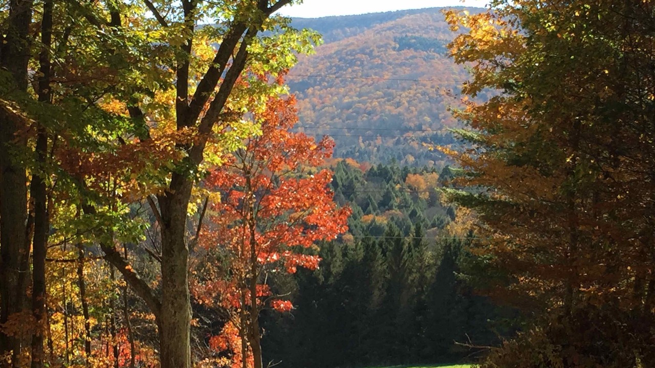 Photo of Others in Margaretville