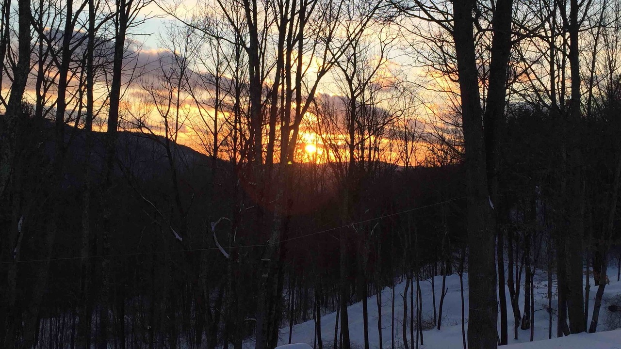 Photo of Others in Margaretville
