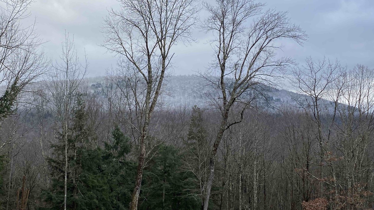 Photo of Others in Margaretville