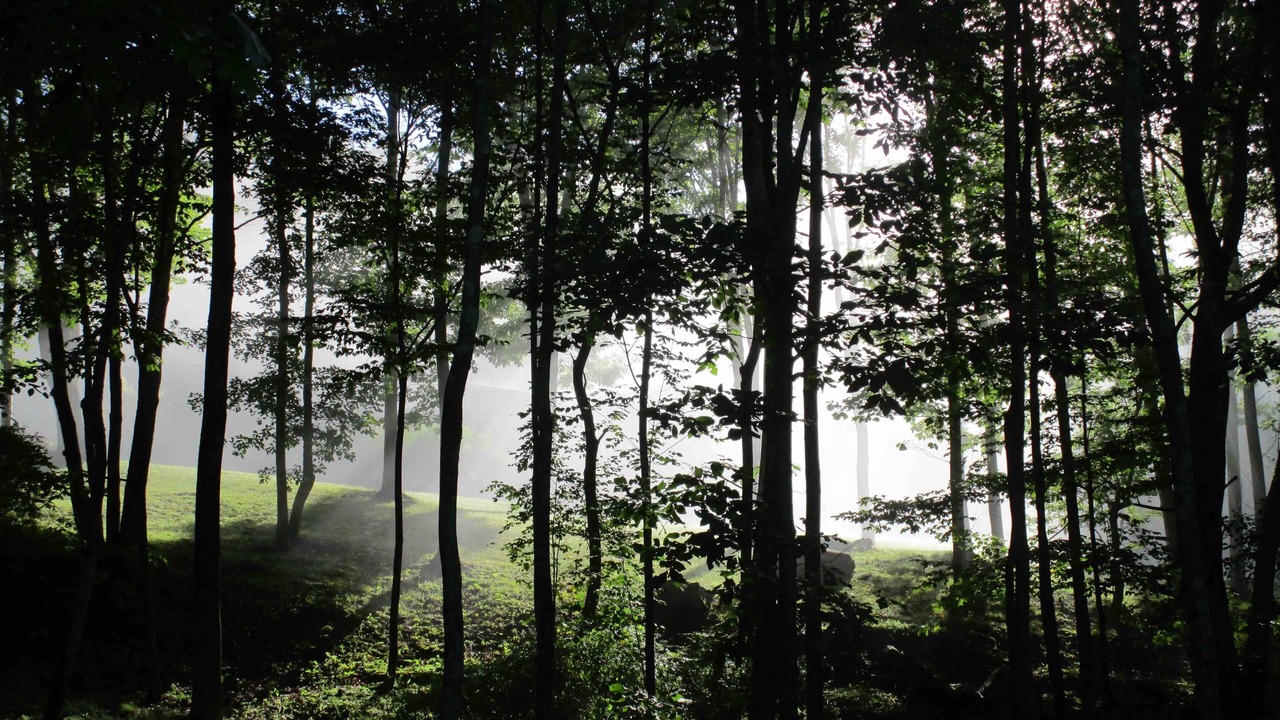 Photo of Others in Margaretville