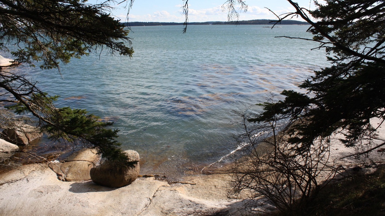 Photo of Others in Stonington