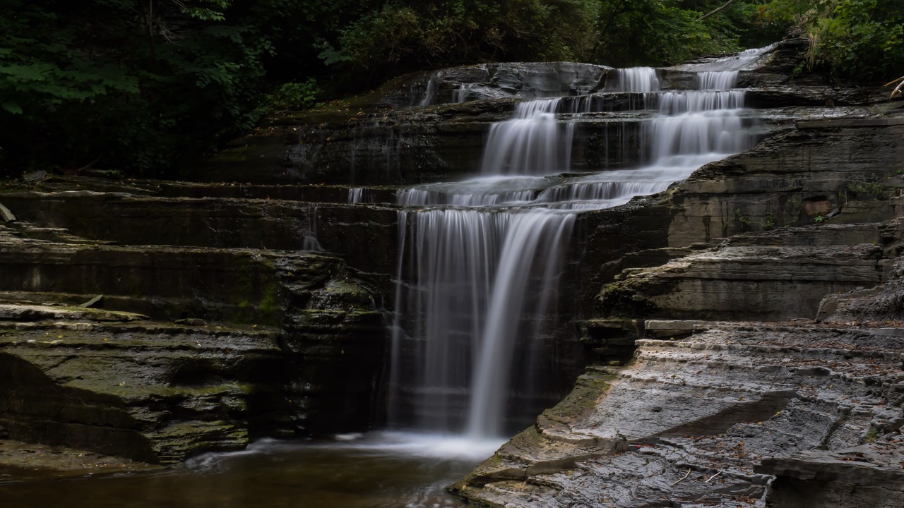 Photo of Outdoor in Trumansburg