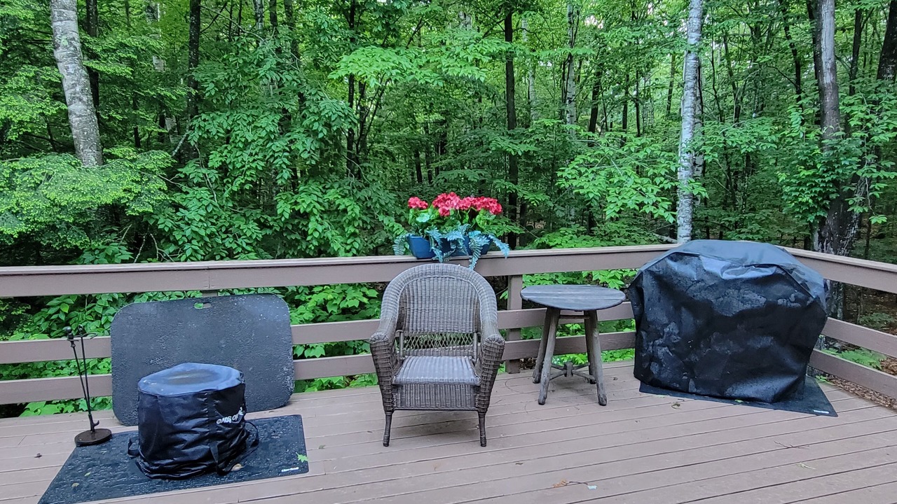Photo of Others in Intervale