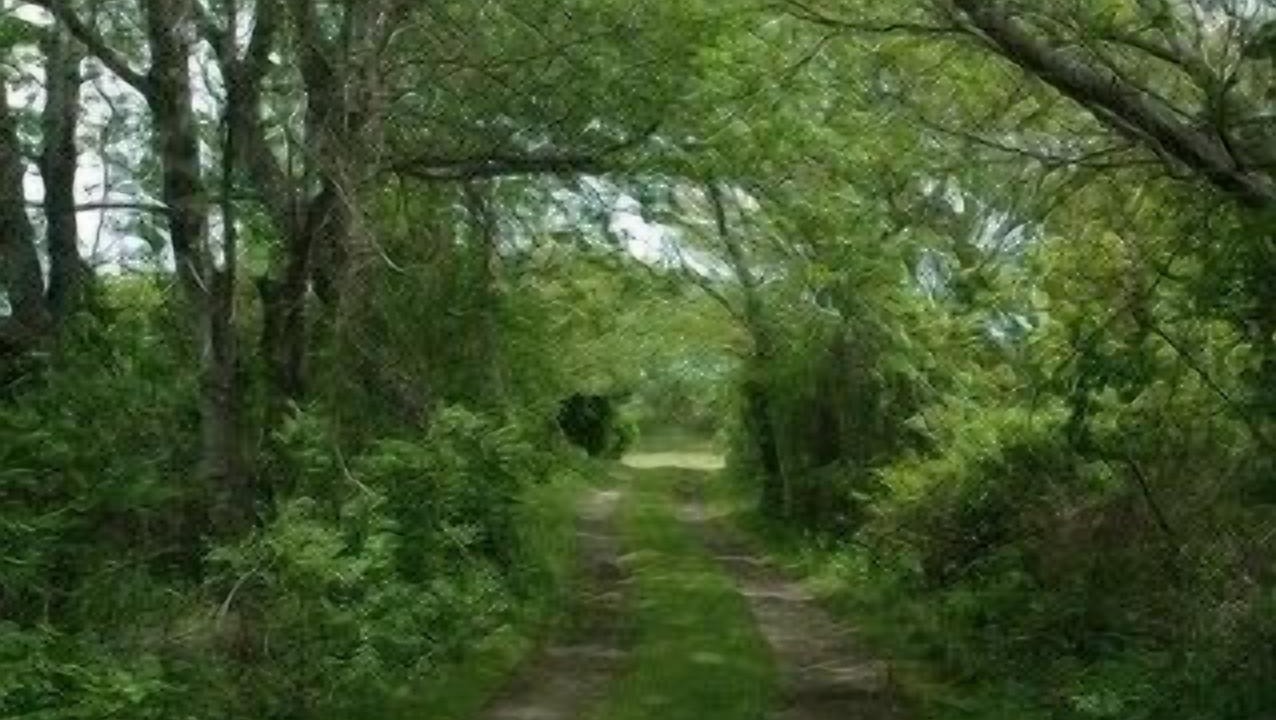 Photo of Others in Chatham