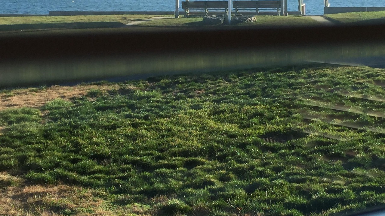 Photo of Others in Wellfleet