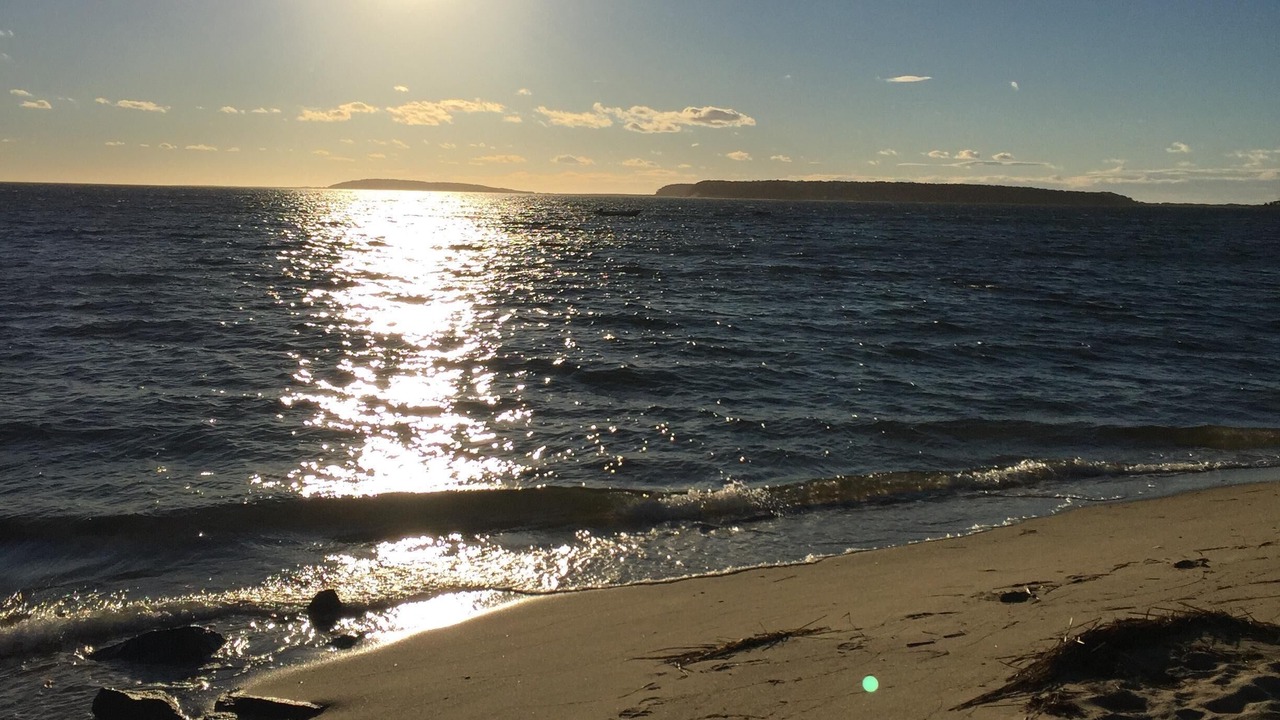 Photo of Others in Wellfleet