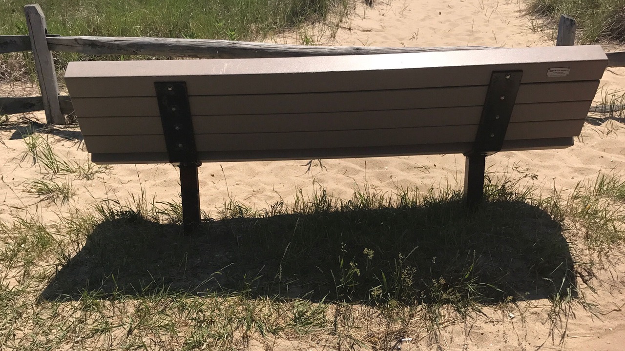 Photo of Others in Wellfleet