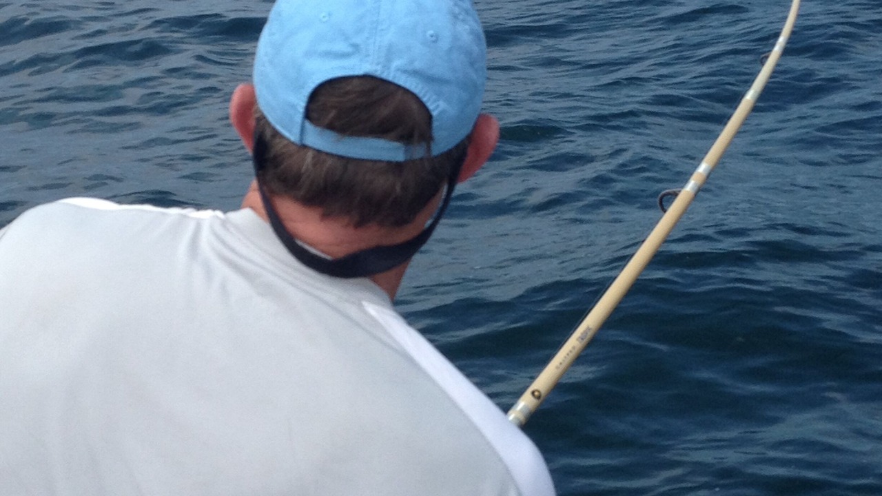 Photo of Others in North Chatham