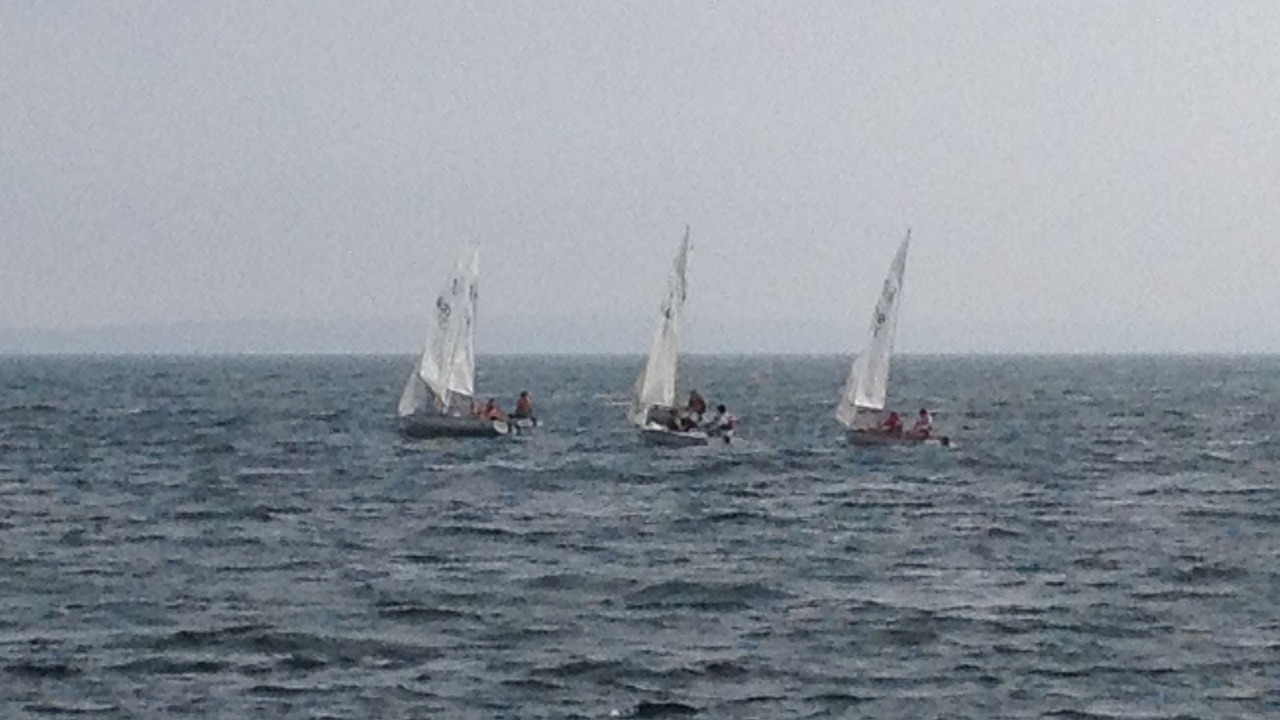 Photo of Others in North Chatham