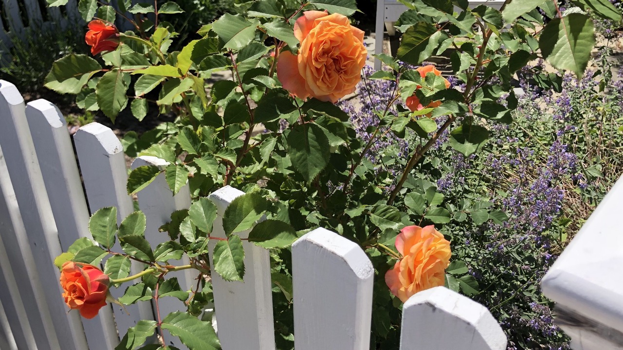 Photo of Outdoor in Provincetown
