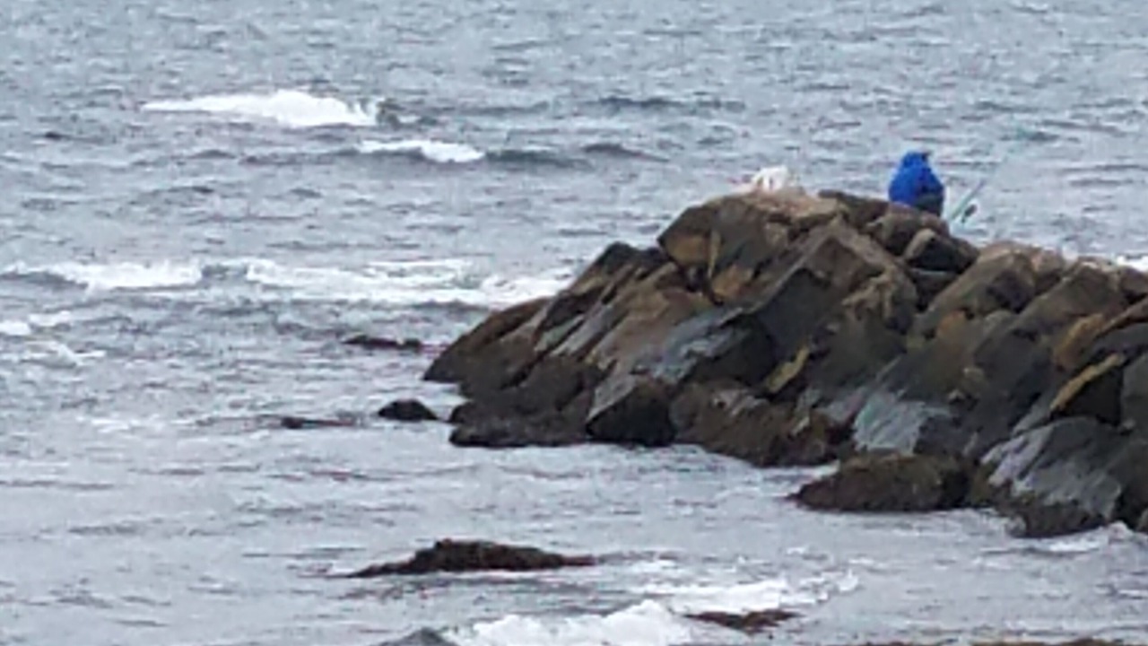 Photo of Others in The Point