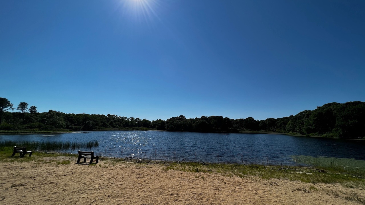 Photo of Others in Eastham