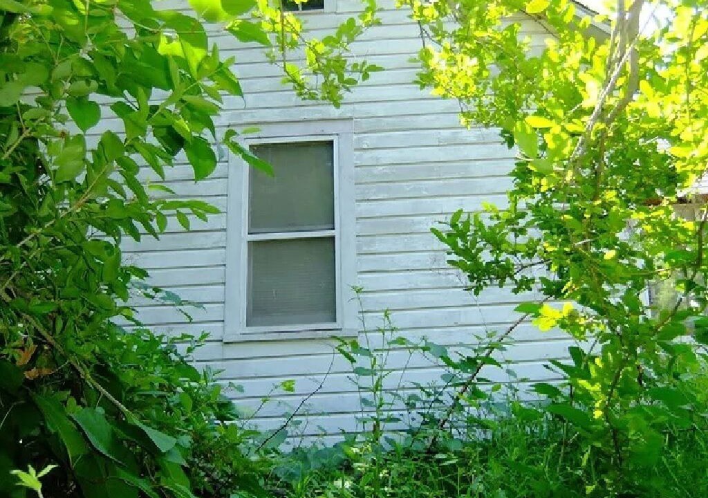 Photo of Outdoor in White Lake