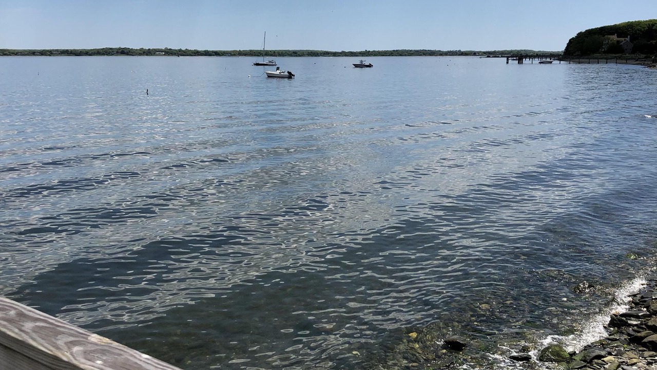 Photo of Others in Portsmouth