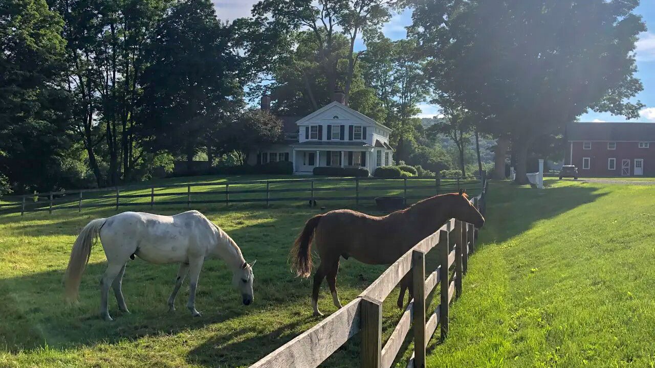 Photo of Outdoor in Pine Plains