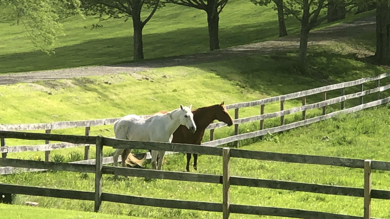 Photo of Outdoor in Pine Plains