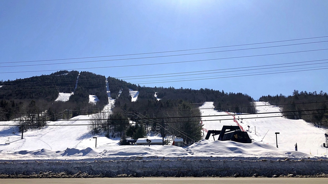 Photo of Others in Bartlett